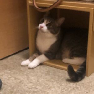 Meet your Posher, Megan